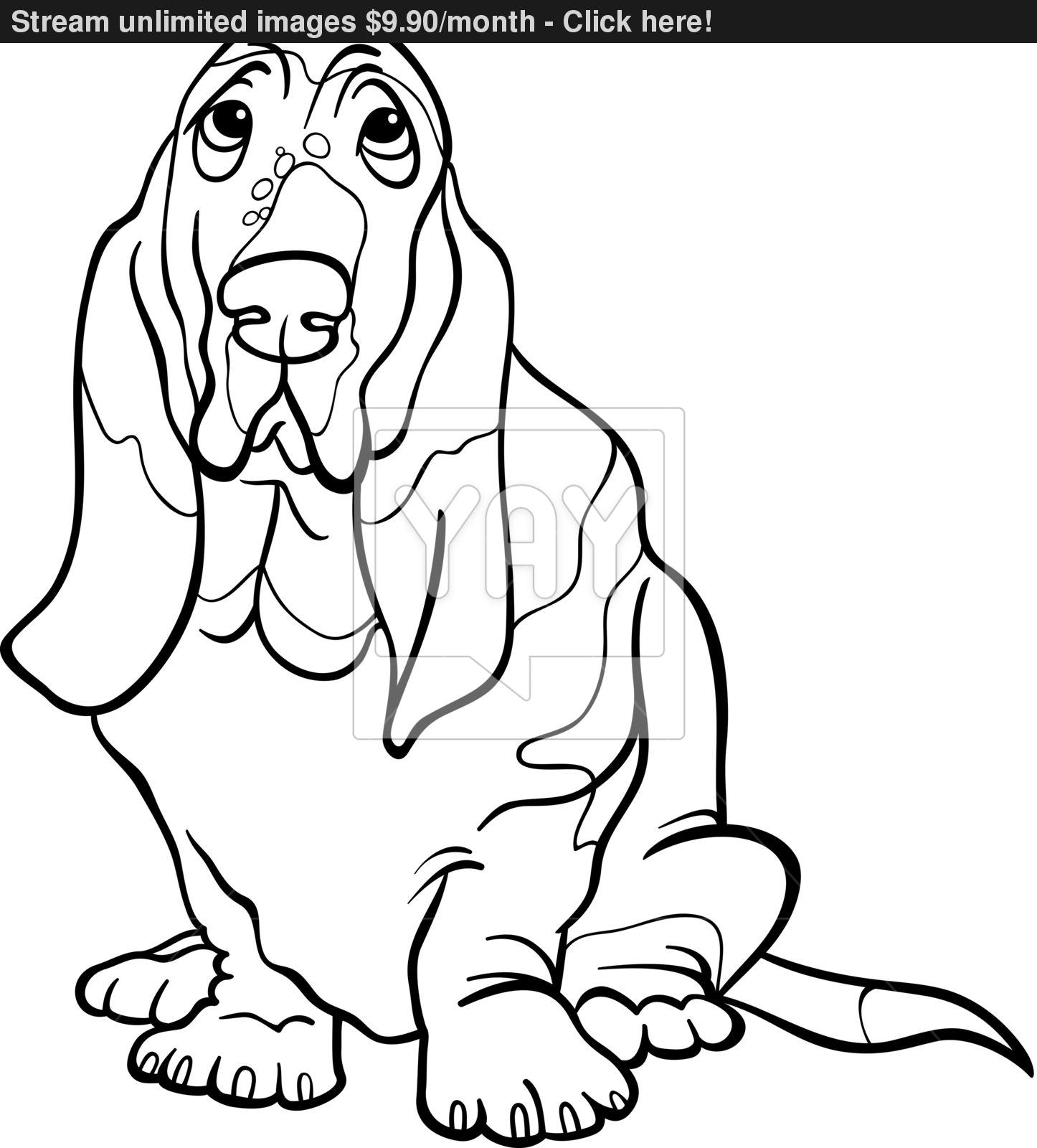 1446x1600 Basset Hound Dog Cartoon For Coloring Book Vector