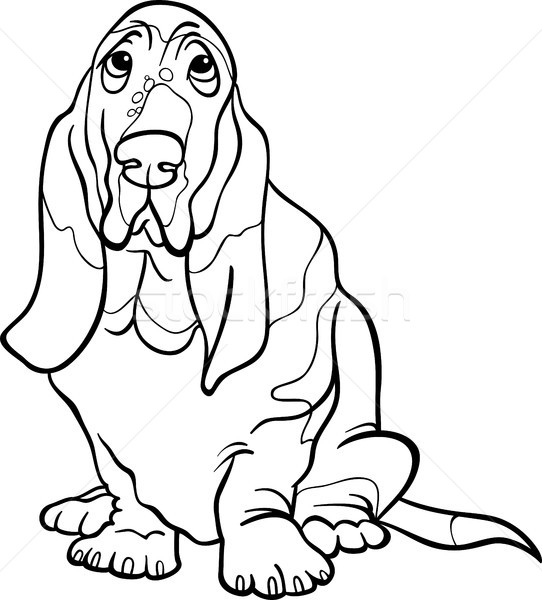 542x600 Basset Hound Dog Cartoon For Coloring Book Vector Illustration