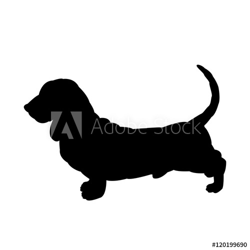 500x500 Basset Hound Vector Illustration Black Silhouette