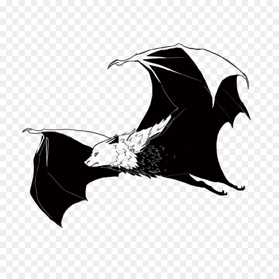 900x900 Bat
