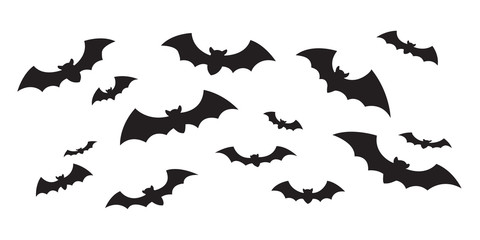 480x240 Search Photos Bat Vector