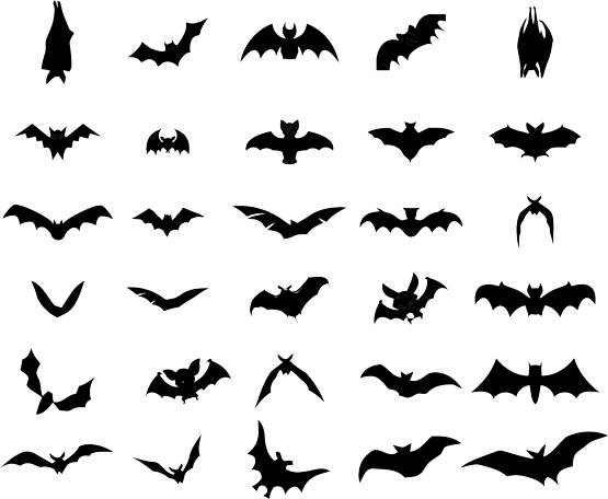 555x456 Bat Vector Free Download