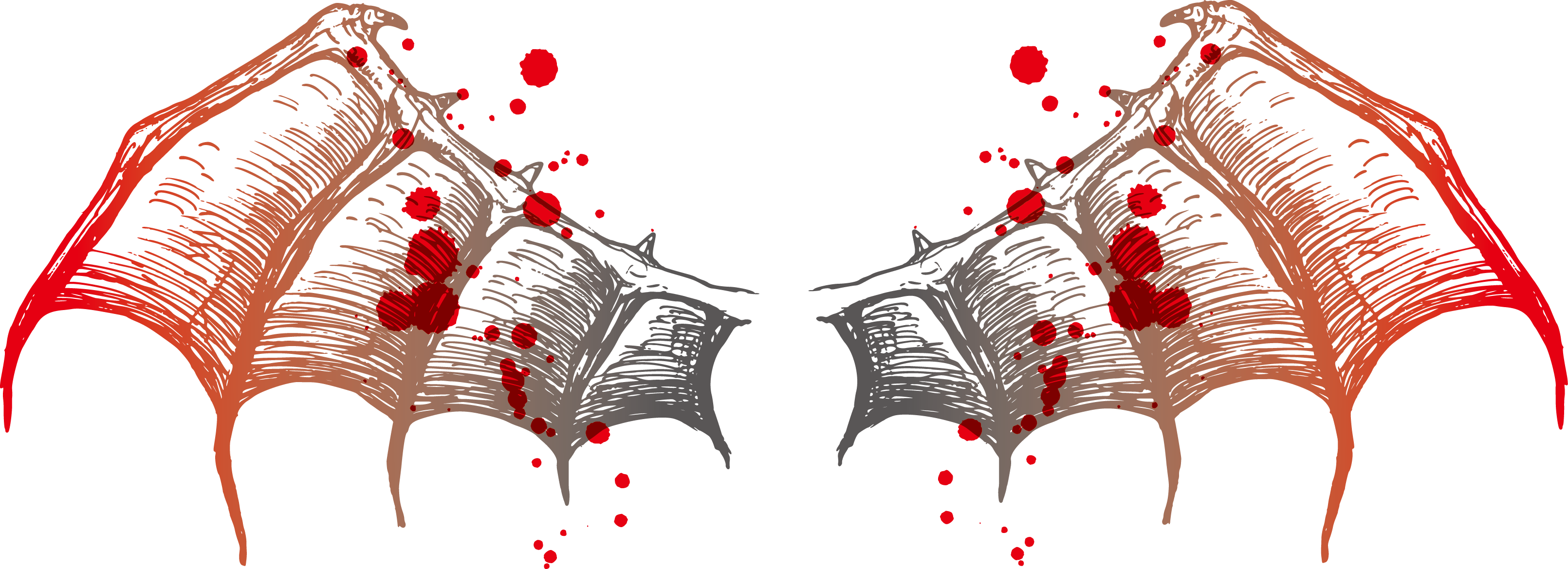 3221x1169 Bat Wing Euclidean Vector