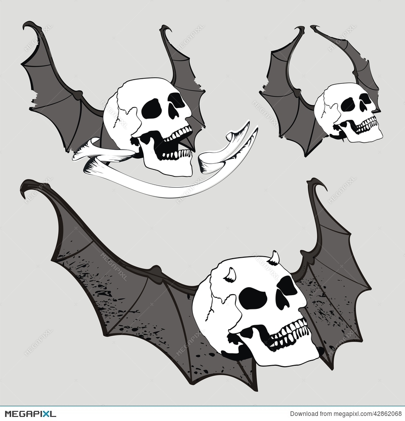 800x830 Skull Bat Wings Set Vector Set2 Illustration 42862068