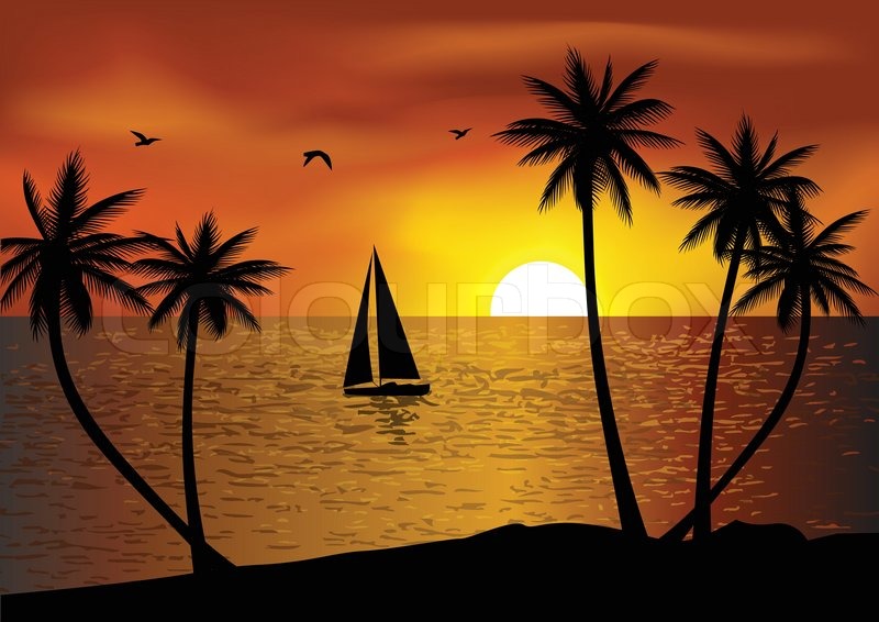 800x566 Vector Illustration Of Tropical Beach Sunset Stock Vector