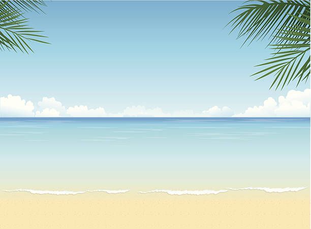 612x450 Tropical Beach Vector Art Illustration Animals In 2018
