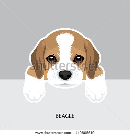 450x470 Vector Illustration Portrait Of Beagle Puppy. Dog Isolated