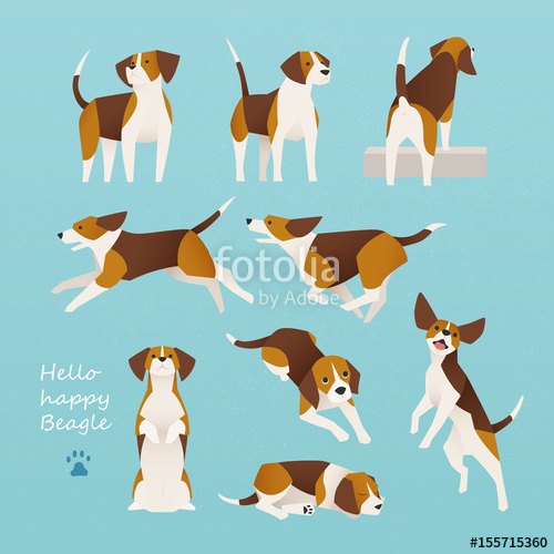 500x500 Beagle Dog Various Poses Flat Design Illustration Set Stock Image