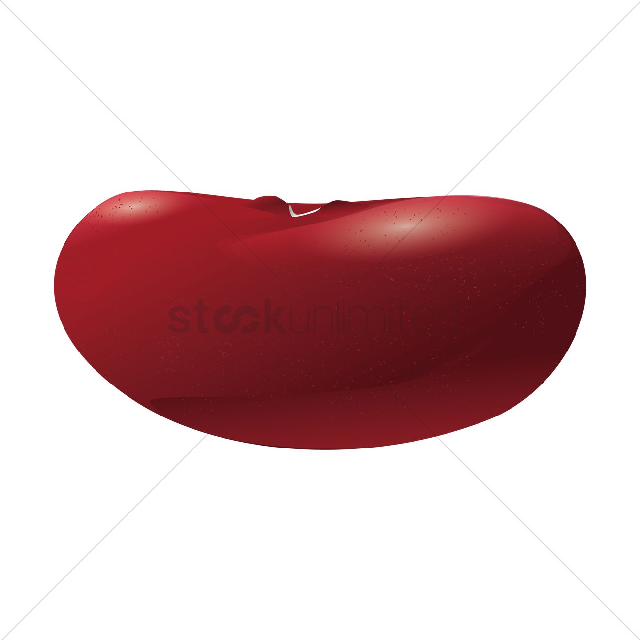 1300x1300 Red Bean Vector Image