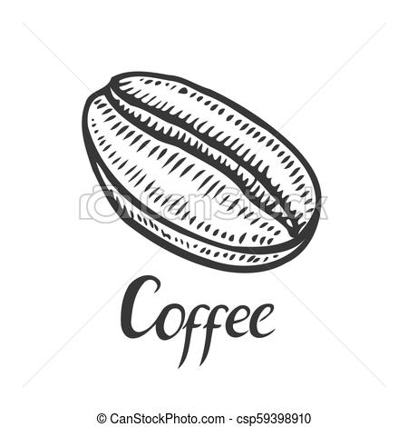 450x470 Vintage Coffee Bean Engraving Vector Illustration.