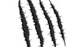 280x158 Bear Claw Rip Clipart All About Clipart