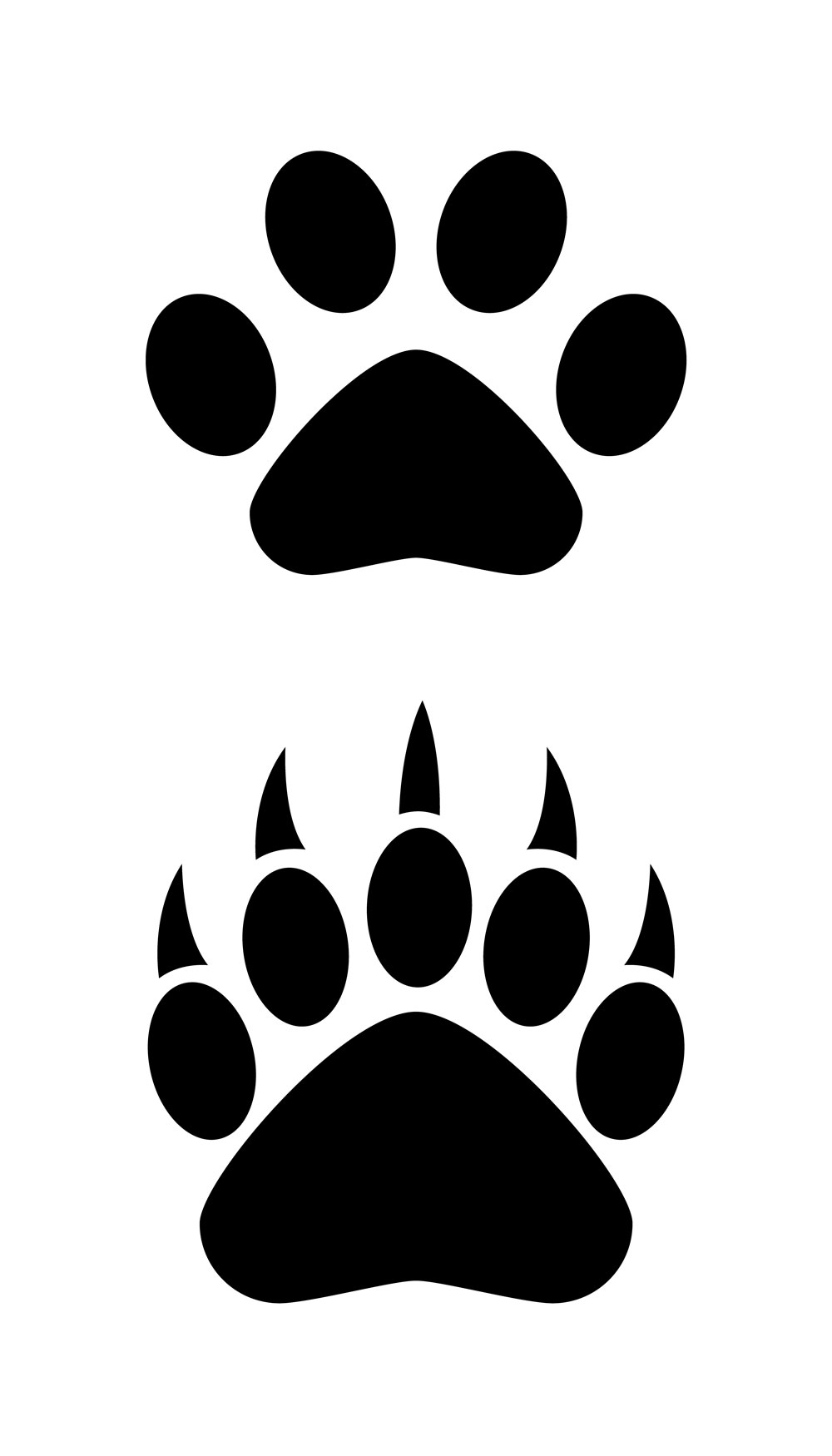1000x1750 Bear Claw And Paw Illustration
