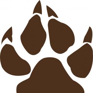 300x300 Bear Footprint With Claw Scratches Vector Sohadacouri