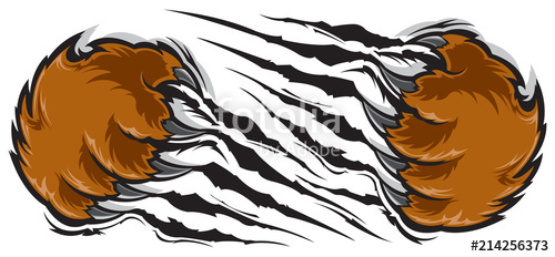 500x232 Bear Claw Stock Image And Royalty Free Vector Files On Fotolia