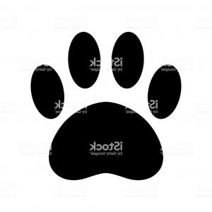 300x300 Stock Illustration Bear Claw Bear Footprint Seamless Rongholland