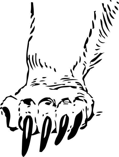 456x600 Bear Claw Outline Grizzly Bear Paw Clip Art