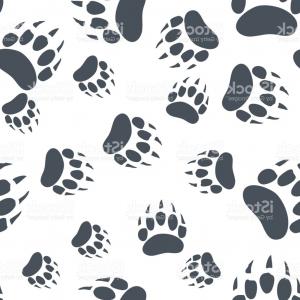 300x300 Bear Claw Bear Footprint Seamless Pattern Vector Arenawp
