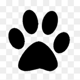 260x261 Bear Claw Png, Vectors, Psd, And Clipart For Free Download Pngtree