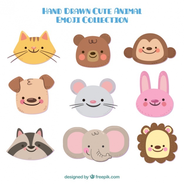 626x626 Bear Face Vectors, Photos And Psd Files Free Download