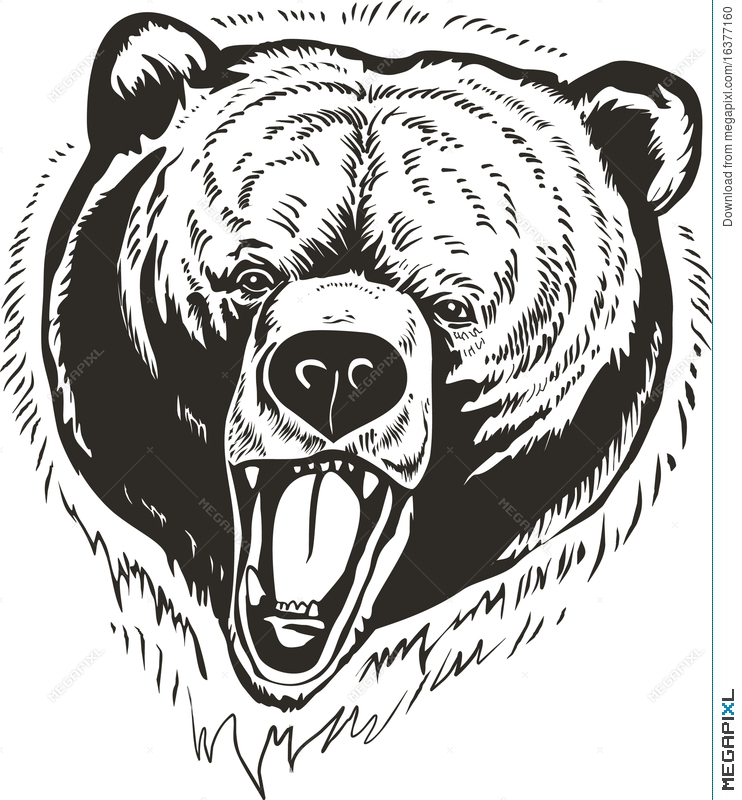 742x800 Bear Head Vector Illustration 16377160