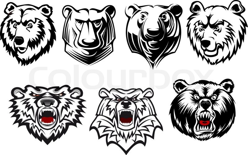 800x501 Black And White Vector Bear Heads With Different Head Shapes And