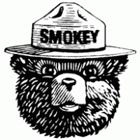 200x200 Smokey The Bear Brands Of The Download Vector Logos And