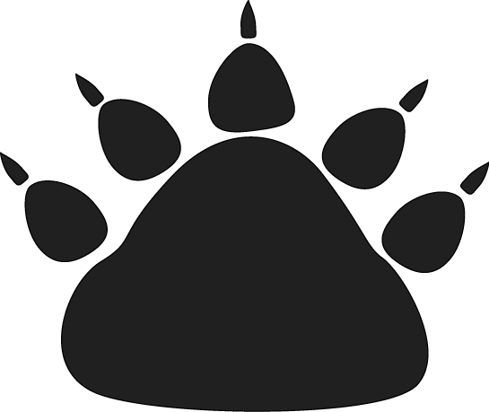 545x459 Collection Of Free Paw Vector Polar Bear. Download On Ubisafe