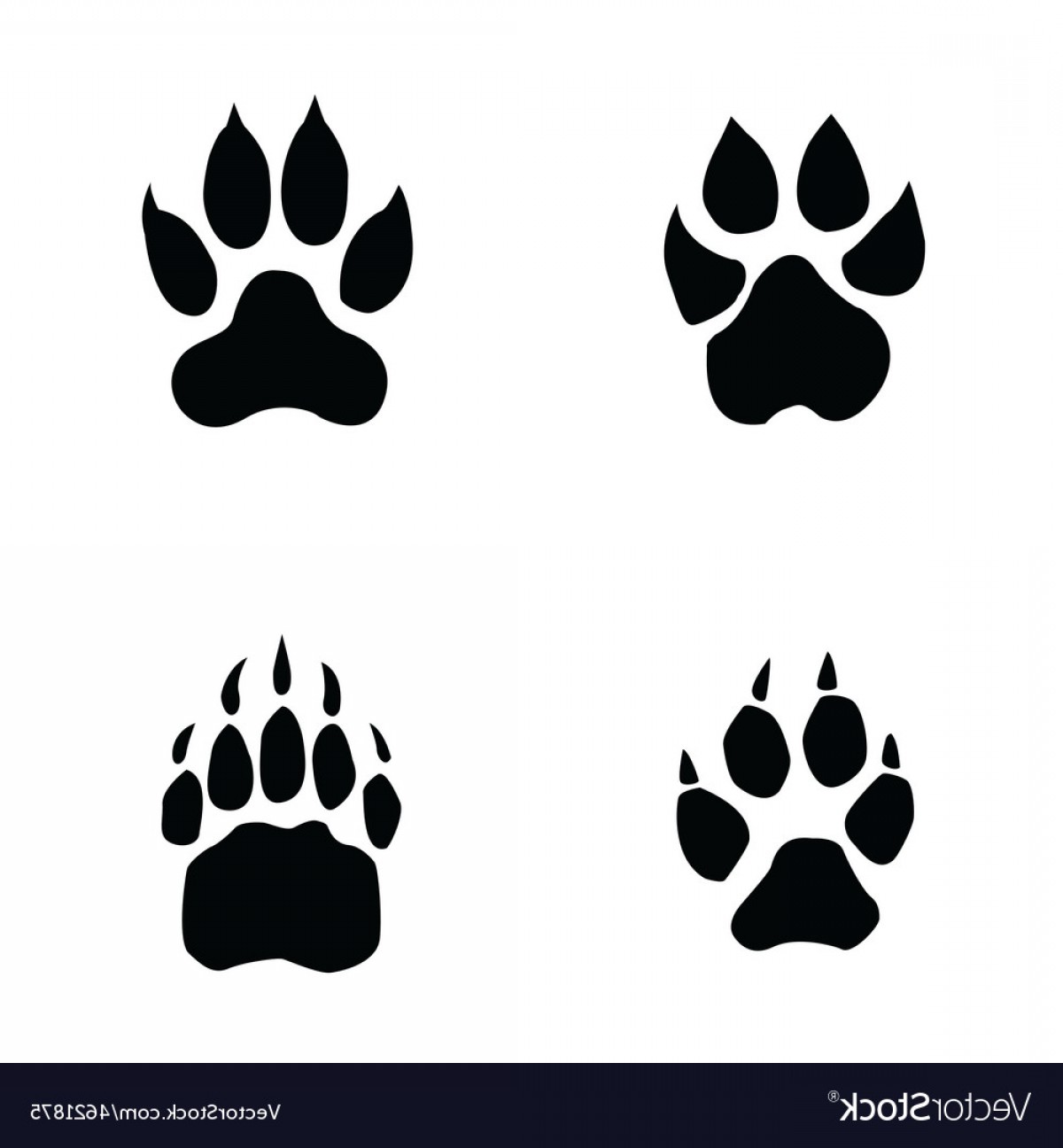 Bear Paw Print Vector at GetDrawings | Free download