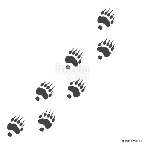 500x500 Vector Illustration. Bear Paw Prints Track Logo. Black On White