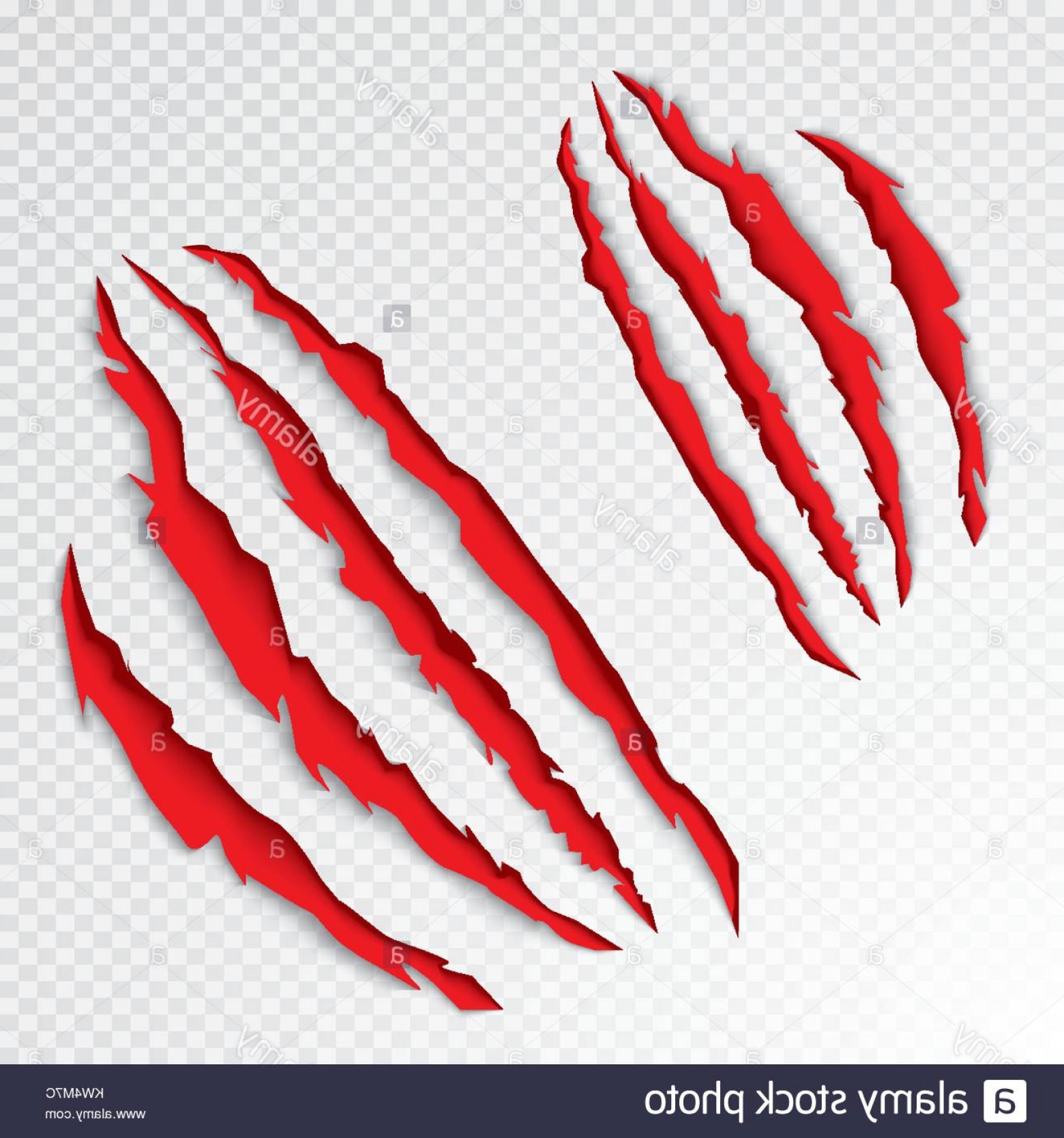 1560x1668 Stock Photo Animal Claws Scratching Vector Illustration Tiger Or