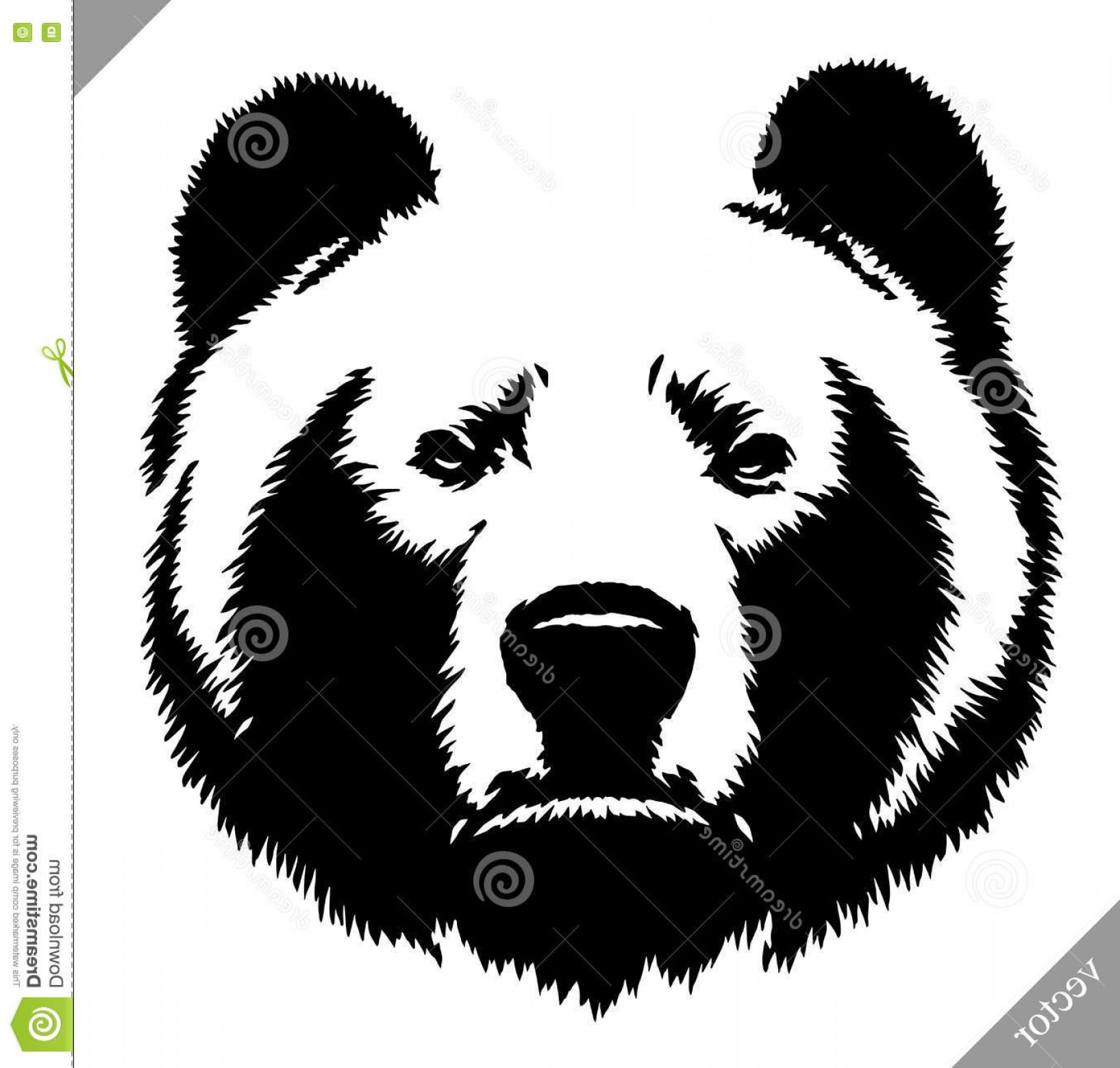 1635x1560 Stock Illustration Black White Ink Draw Bear Vector Illustration