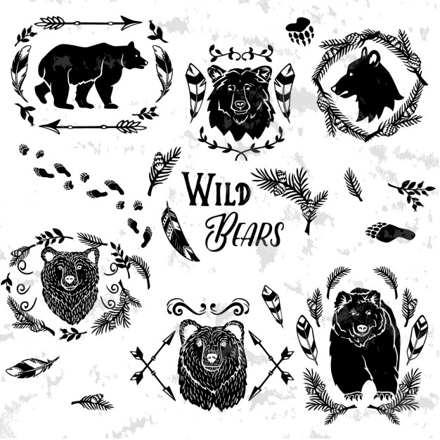626x626 Wild Bears Vector Free Download