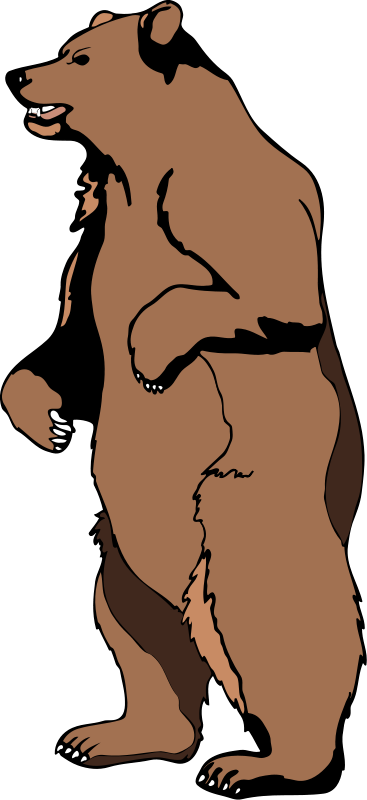 367x800 Bear 3 Free Vector 4vector