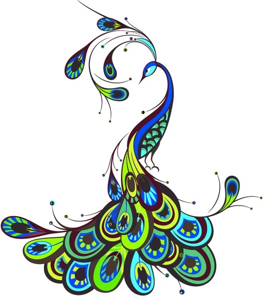 533x600 Peacock Beautiful Vector Free Vector In Encapsulated Postscript