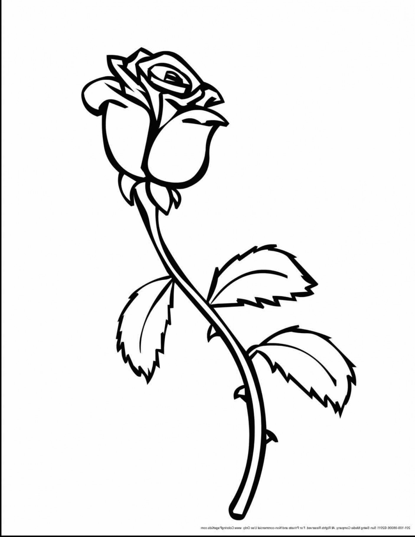 1406x1820 Beauty And The Beast Rose Drawing Shopatcloth