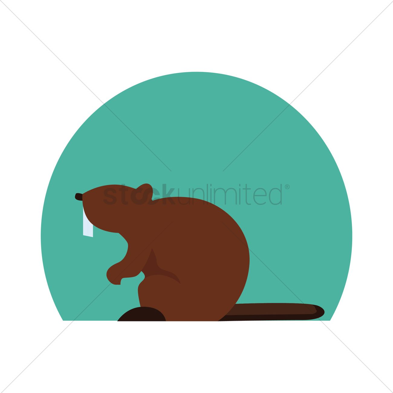 1300x1300 Beaver Vector Image