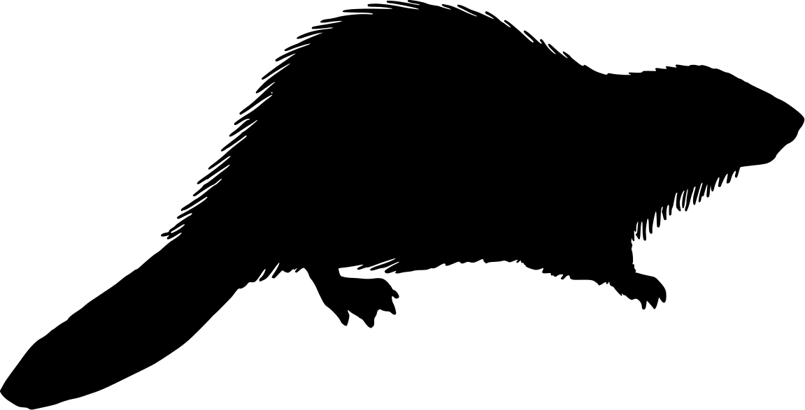 1151x587 Beaver Clipart Silhouette