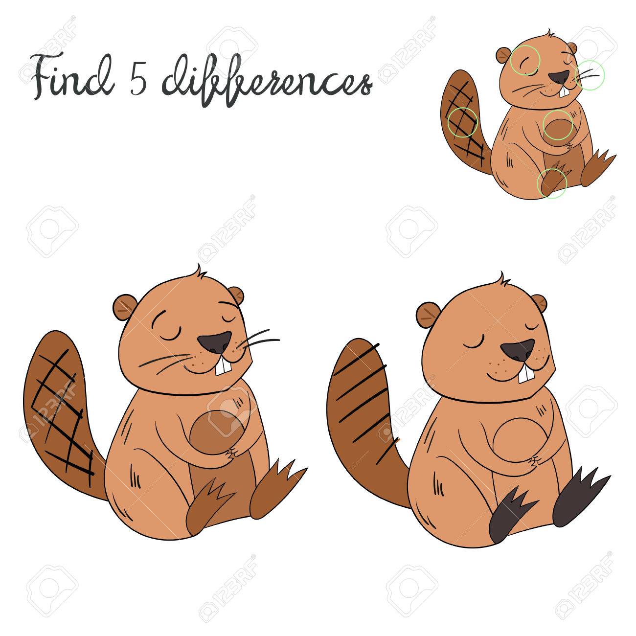 1300x1300 Drawn Beaver Vector