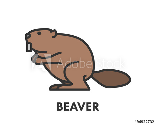 500x400 Painted Line Figure Of Beaver. Vector Outline Symbol