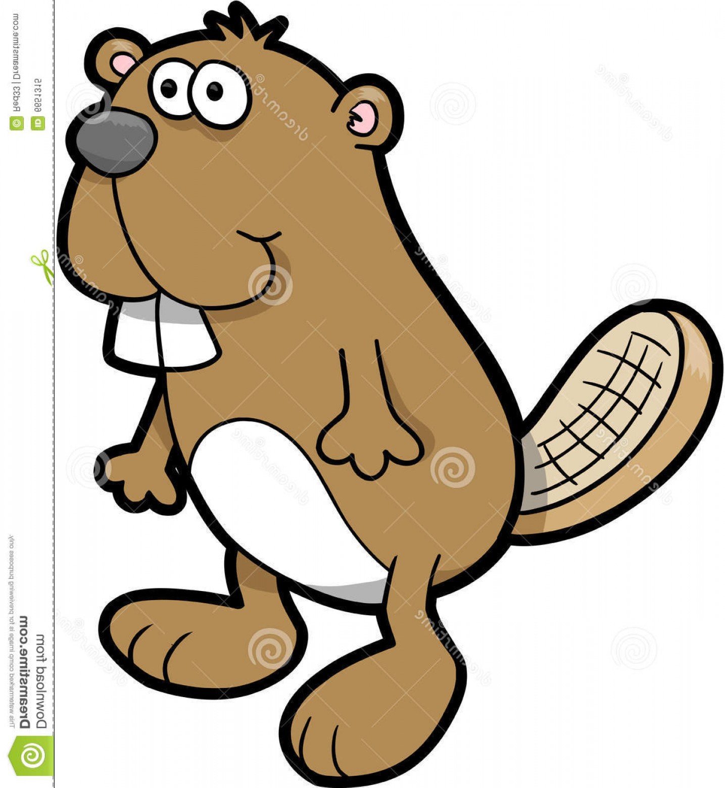 1435x1560 Royalty Free Stock Photo Beaver Vector Illustration Image Lazttweet