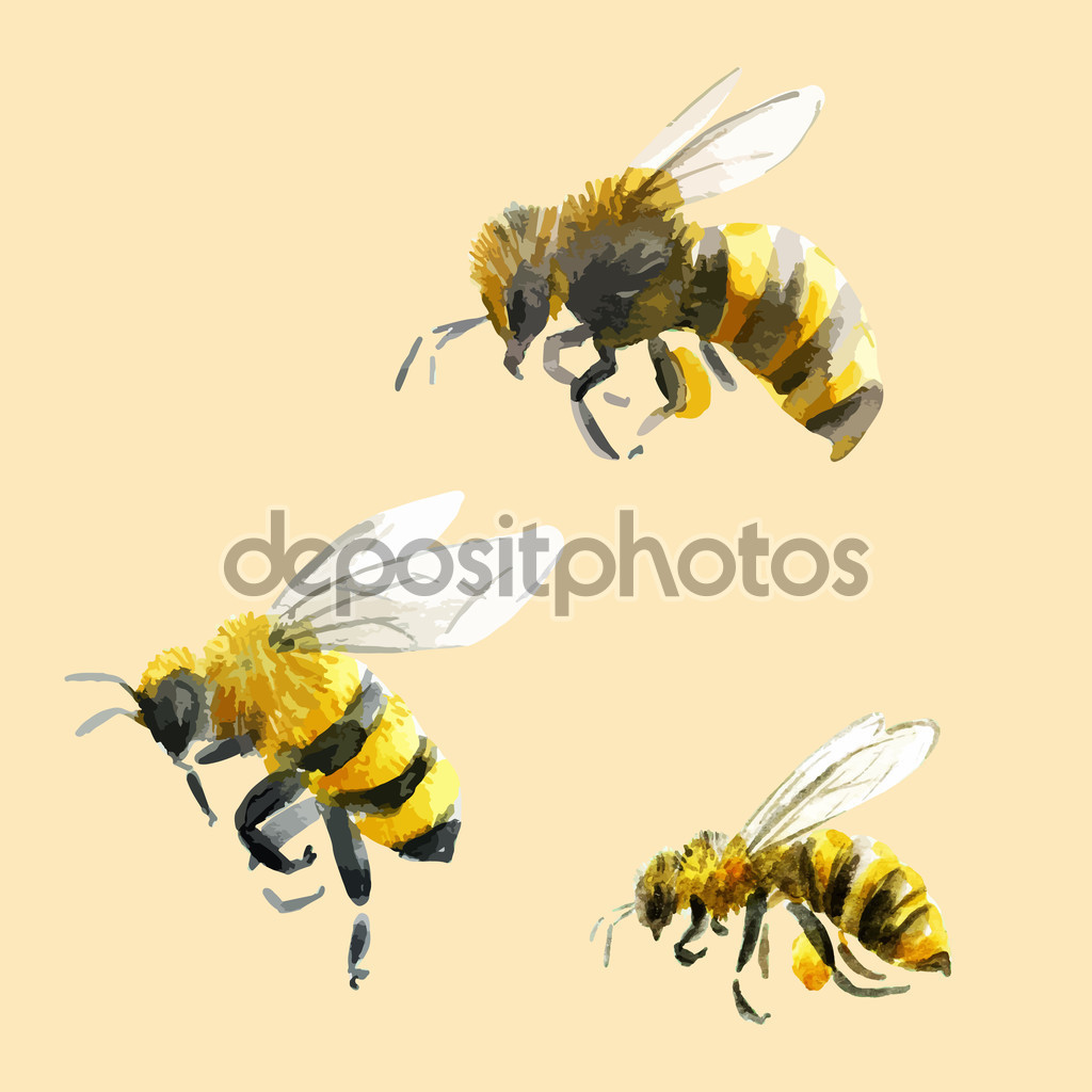 1024x1024 Drawn Bees Vector