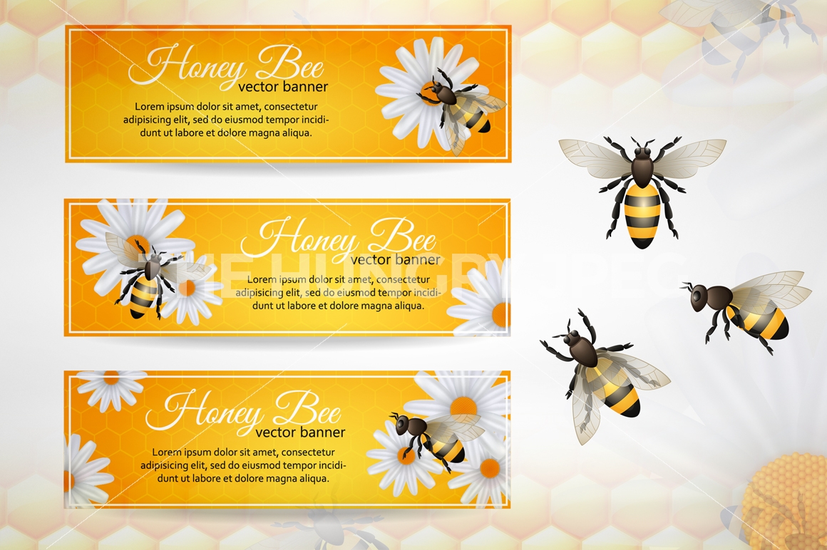 1160x772 Honey Bee Vector Set By Macrovector