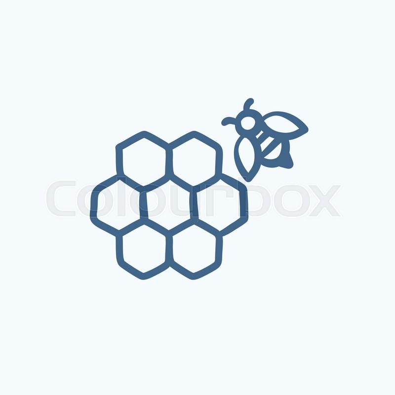 800x800 Honeycomb And Bee Sketch Icon For Web, Mobile And Infographics