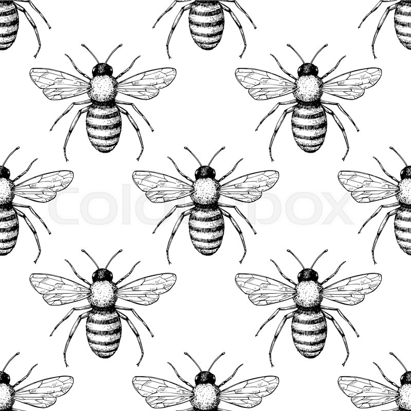 800x800 Bee Vector Seamless Pattern. Hand Drawn Insect Background