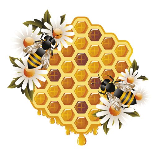 500x500 Elements Of Honey And Bees Vector Set 01