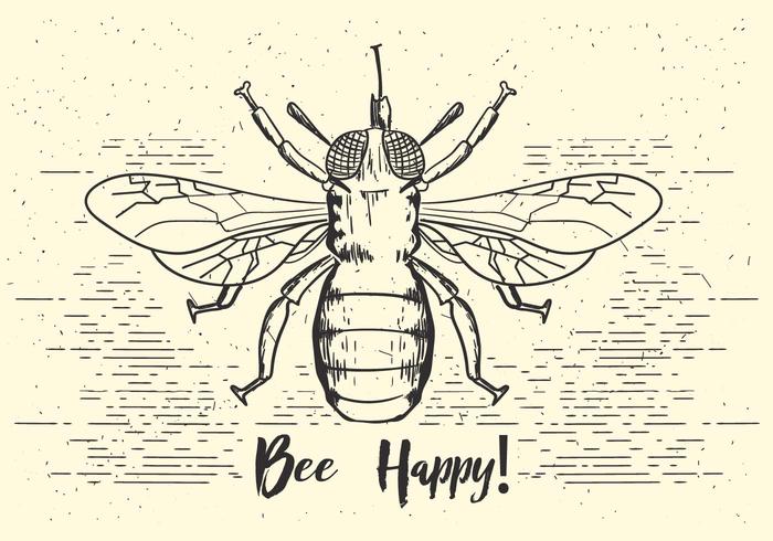 700x490 Bee Free Vector Art