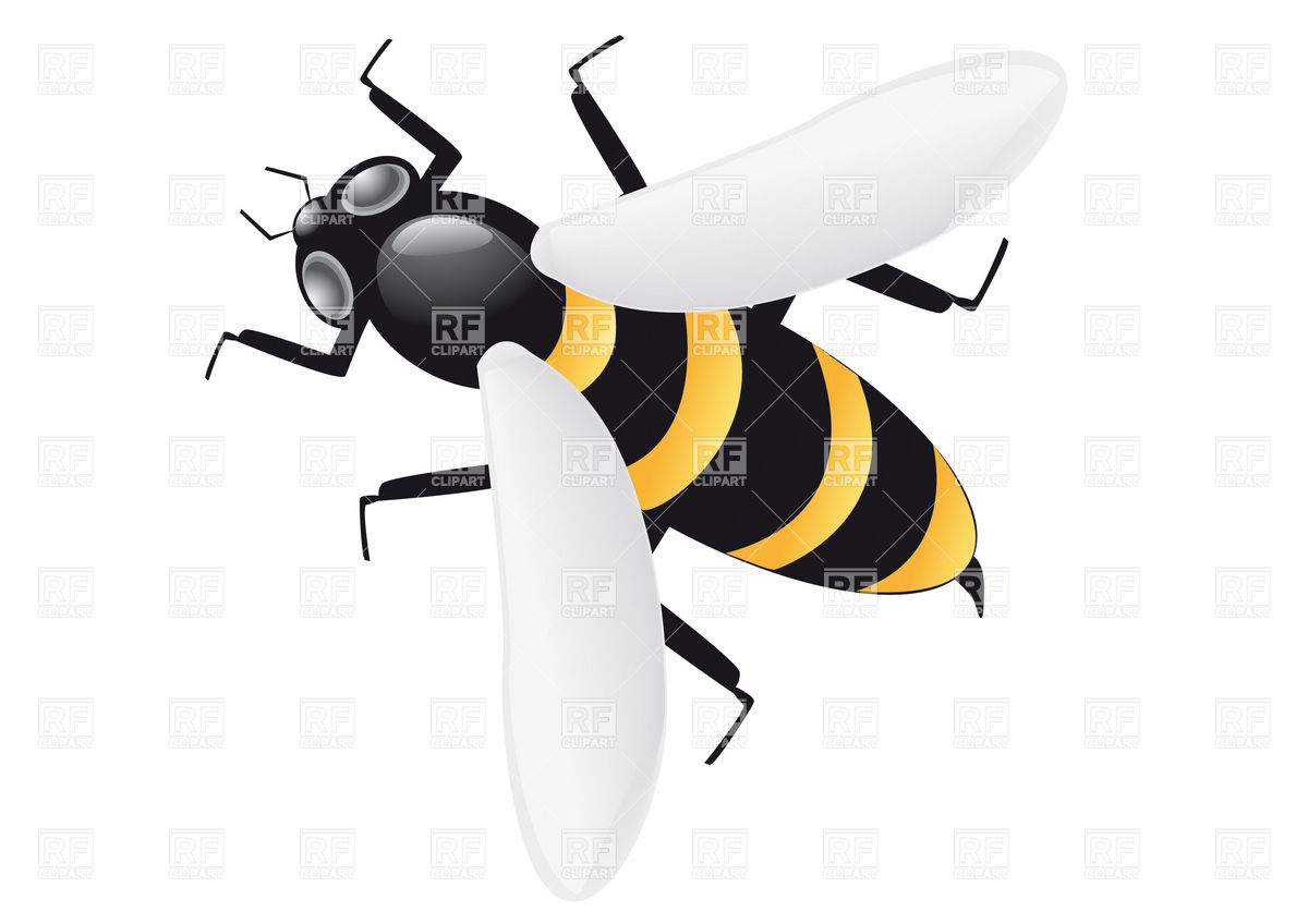 1200x848 Bee Vector Image Vector Artwork Of Plants And Animals