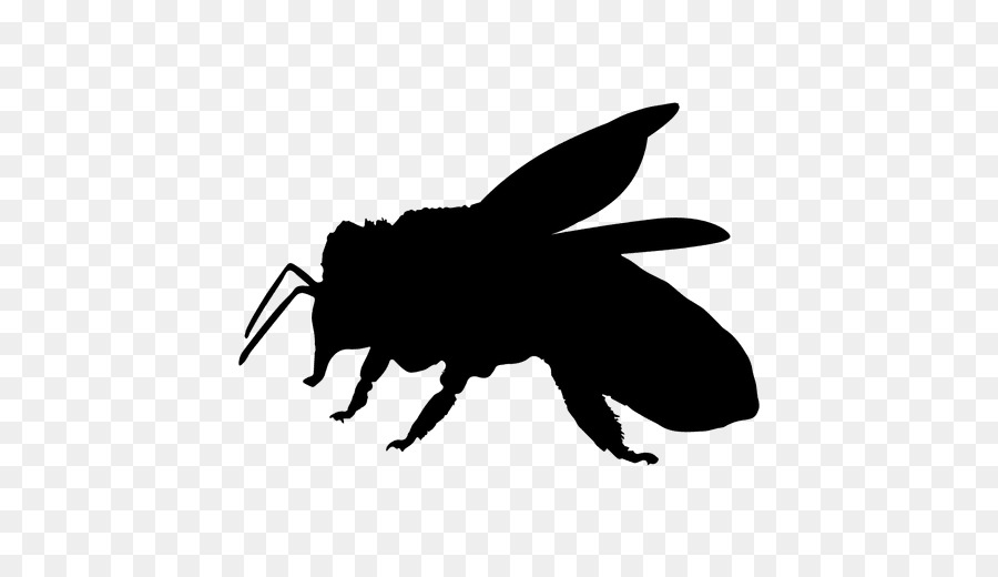 900x520 European Dark Bee Insect Pollinator Clip Art