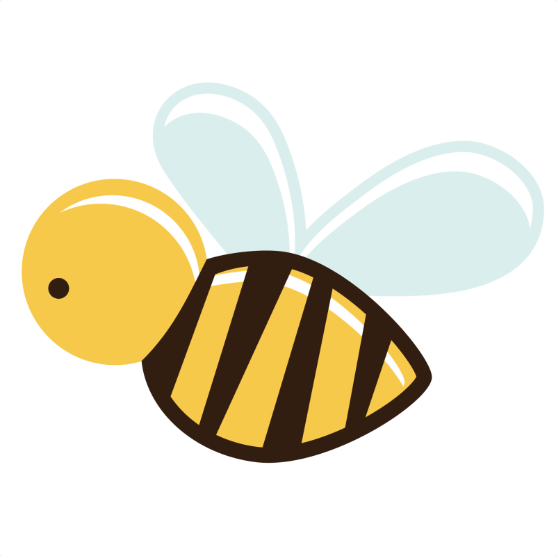 800x800 Bee Vector
