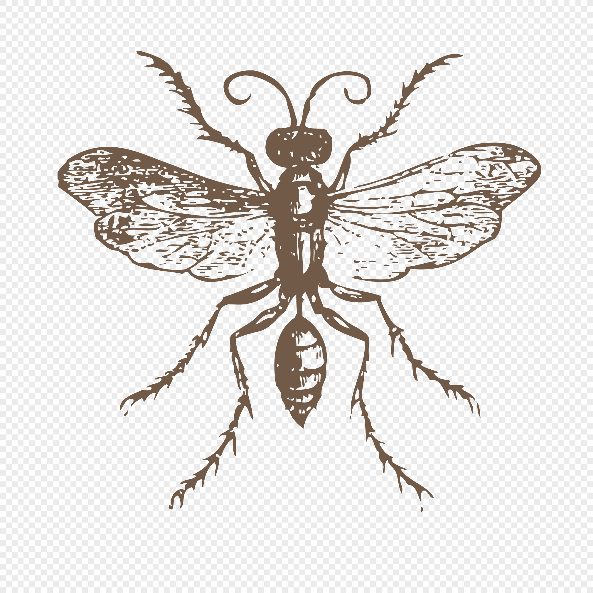 2020x2020 Bee Vector Png Image Picture Free Download 400296119